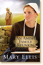 An Amish Family Reunion