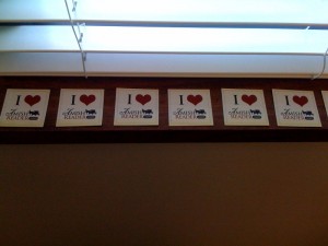 windowsill magnets