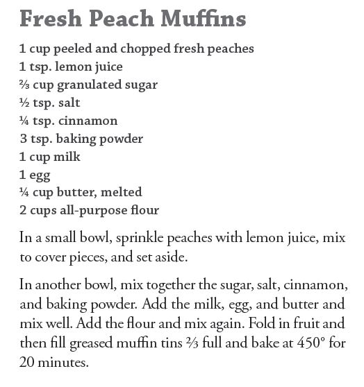 Fresh Peach Muffins Recipe - Amish Baking Cookbook - Shared August 2014