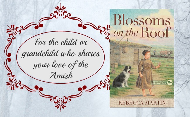 Amish Reader Gift Guide 11