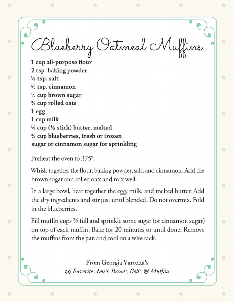blueberry-oatmeal-muffins